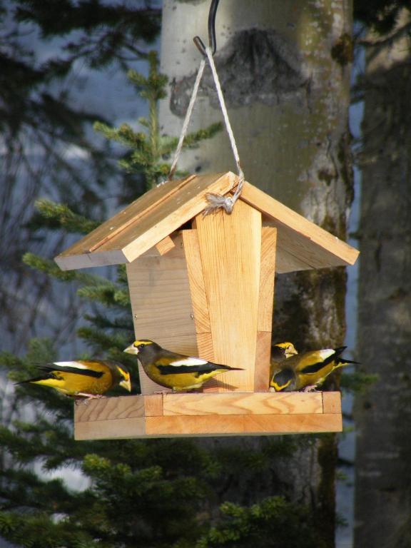 Silvern Lake Trail Bed And Breakfast Smithers Exterior foto